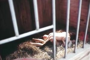 Zealous dark brown sweetie gives sloppy unfathomable mouth to her dude