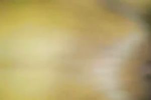 Shaved brown wet crack of my hawt hottie shoved and creampied