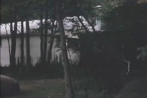 This hot and gorgeous blond horny white wife looks hawt for each chap