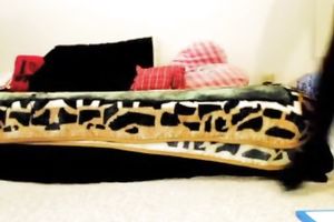 Gagged legal age teenager toys her muff and backdoor in front of a web camera