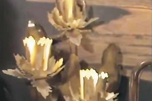 Two ribald lesbos have enjoyment compilation 3 doxies lays on the sofa