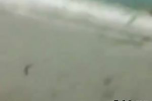 Kinky Indian bitch with curvy body dances impure in the throne-room