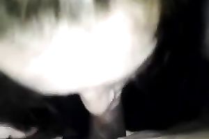 Just getting irrumation from skanky white bitch on livecam