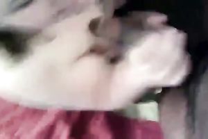 Cum-addicted BBW doxy deepthroats my BBC like a pro
