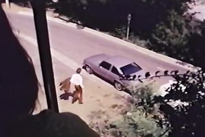 Classic porn vid with 2 hawt milfs making out and licking pussies