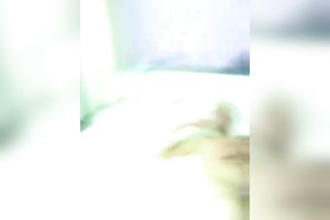 Wild sex in threesome with my ally and his Latina girlfriend