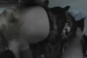 Submissive blindfolded white girlfriend on her knees doing her job