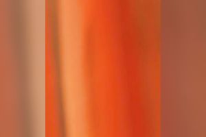 Outrageous Indian brunette hair legal age teenager in hot saree suit