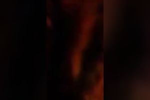 My lewd big beautiful woman dirty slut wife knows how to worship my hard weenie