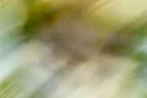 Indian hottie makes out with her paramour and lets him finger her vag