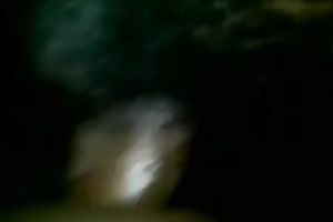 Pounding a filthy ribald bulky wench and depositing cum in her fur pie