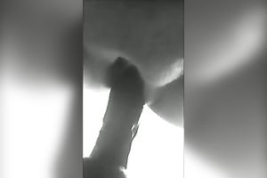 Fucking my tight slit with my recent suction cup sex toy