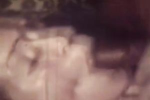 Retro doxy acquires screwed and facialed by a concupiscent dark dude