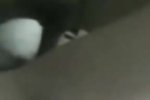 My Asian wifey sucks my prick and lets me pound her hirsute cookie