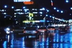 Brunette beauty with bushy hair acquires her moist cunny nailed hard