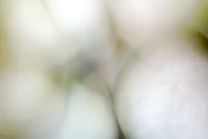 POV with my BBC slut jumping on my jock in the reverse cowgirl pose