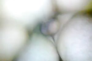 POV with my BBC slut jumping on my jock in the reverse cowgirl pose