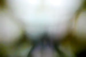 POV with my BBC slut jumping on my jock in the reverse cowgirl pose