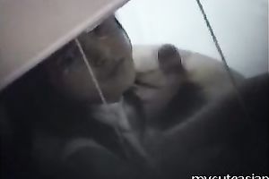 Oriental sweetheart rides her lover's pecker like a rodeo wife