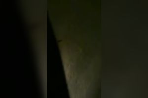 I am having the time of my life with my lesbo girlfriend