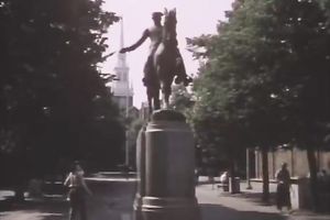 Pretty woman gives a oral after getting her hirsute vag licked