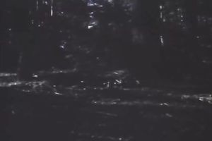 Pretty woman gives a oral after getting her hirsute vag licked