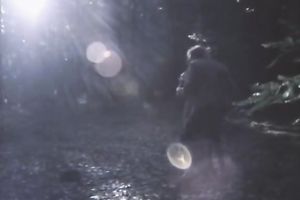 Pretty woman gives a oral after getting her hirsute vag licked