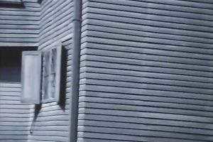 Pretty woman gives a oral after getting her hirsute vag licked