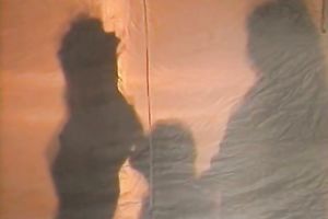 Two breathtaking breasty hotties try to entice bold buddy