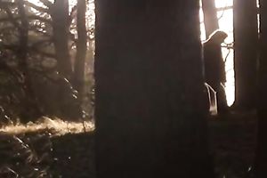 Two vehement whores have a fun riding ballsy bastard