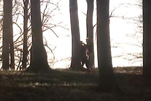 Two vehement whores have a fun riding ballsy bastard