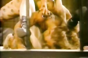 Fuck starving babes do not feel sorry for their fuck holes and have a fun bawdy group hammering