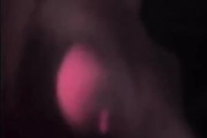 Stud with large penis copulates the shit out of this perverted bitch