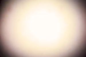 My cunt is always palpitating for my husband's meat stick