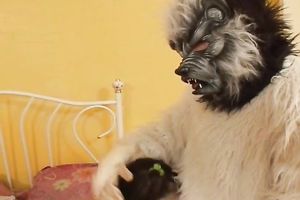 Asian housewife gives head to a masked dude and rides his 10-Pounder