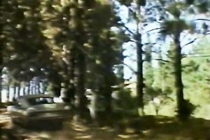 Two lascivious honeys attacked one sexy spunk stick and fucked it properly