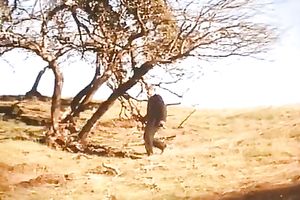 This chick has always enjoyed riding her lover's dong in cowgirl position