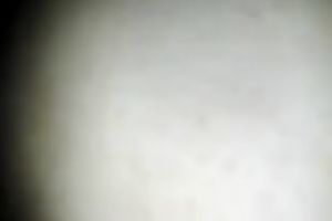 My big beautiful woman girlfriend with saggy tits likes cowgirl position