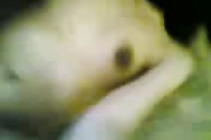 Arab hussy acquires her non-shaved wet crack slammed in homemade movie