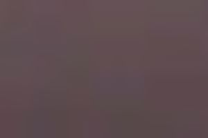 Awesome dark large 10-Pounder tastes worthwhile for my wild dinner