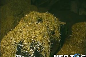 Hairy German man massages tiny brunette and eats her bawdy cleft