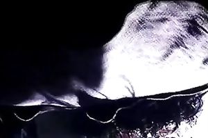 An upskirt video of a bulky and voluptuous dark housewife