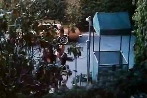 This undeniably sexy golden-haired copulates her fellow on top and then sucks his pecker