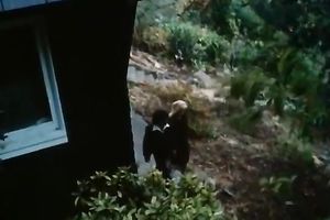 This undeniably sexy golden-haired copulates her fellow on top and then sucks his pecker