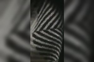 Shameless GF rides my rock hard jock in reverse cowgirl position