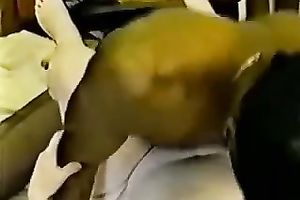 My hungry white bitch loves it large and dark and can't live without it hard