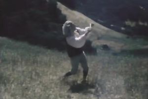 Dark-haired beauty gives head and receives her curly cum-hole pounded