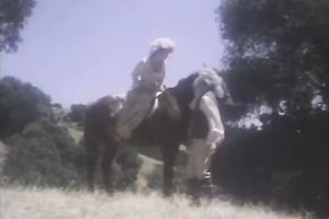 Dark-haired beauty gives head and receives her curly cum-hole pounded