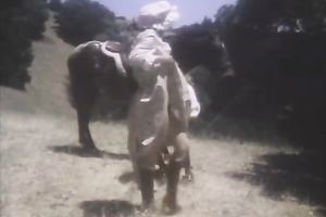 Dark-haired beauty gives head and receives her curly cum-hole pounded