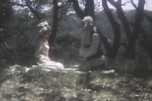 Dark-haired beauty gives head and receives her curly cum-hole pounded